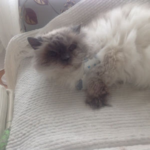 Meet your Posher, Claudette